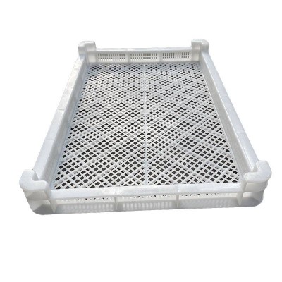 Food Grade Pp Vent Plastic Mushroom Drying Trays Seafood Freezing Tray With Support